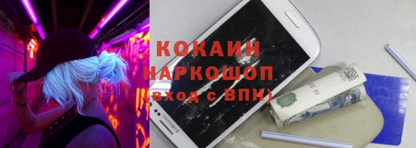 МДПВ Алексин